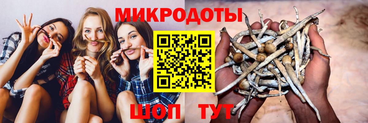 Псилоцибиновые грибы Magic Shrooms  Вход с VPN  Галлюциногенные грибы GOLDEN TEACHER  Новый Уренгой 