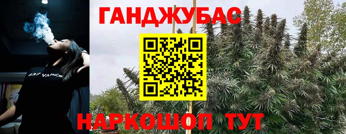 Бошки марихуана Amnesia Новый Уренгой